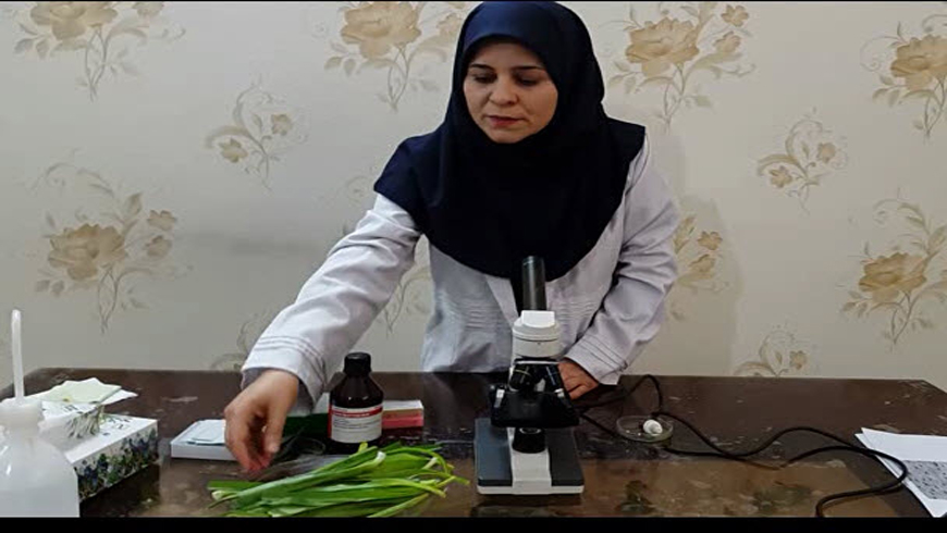 تهیه نمونه سلول گیاهی