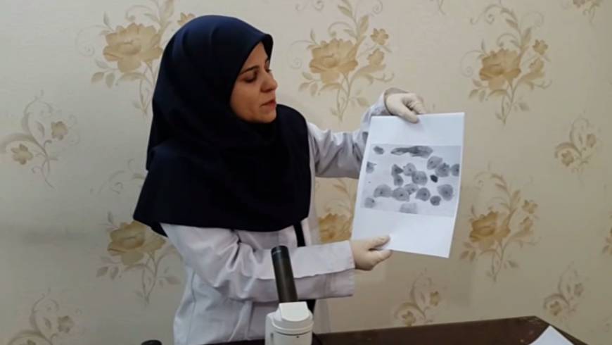 تهیه نمونه سلول جانوری