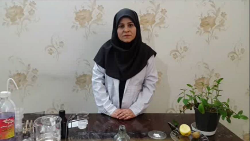 اثبات وجود نشاسته در برگ گیاه